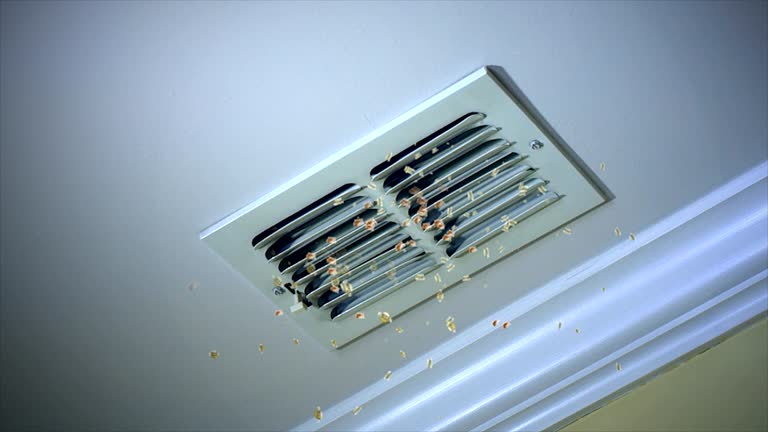 Best Best Air Duct Cleaning Company  in Walnutport, PA