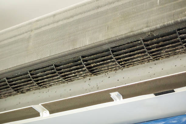 Best Air Duct Cleaning Near Me  in Walnutport, PA